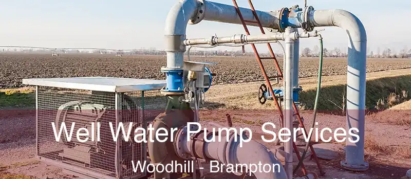  Well Water Pump Services Woodhill - Brampton